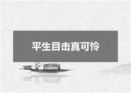 平生目击真可怜