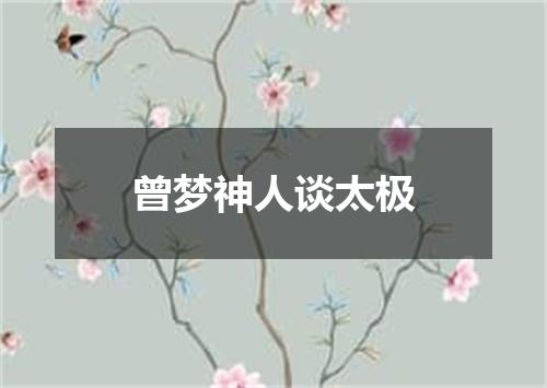 曾梦神人谈太极