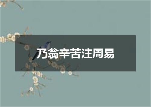 乃翁辛苦注周易