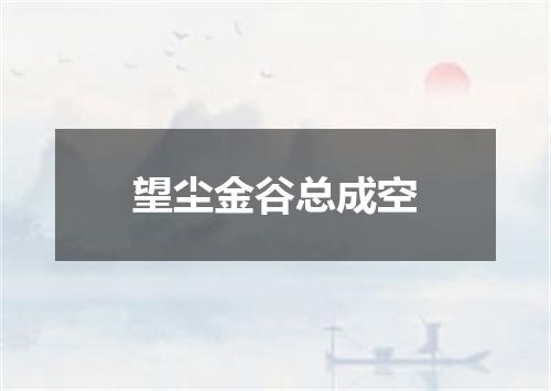 望尘金谷总成空