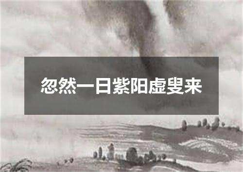 忽然一日紫阳虚叟来