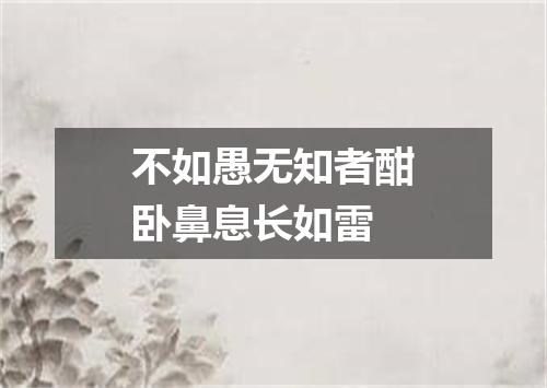 不如愚无知者酣卧鼻息长如雷