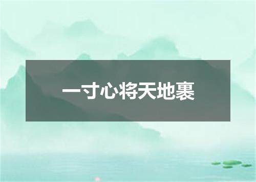 一寸心将天地裹