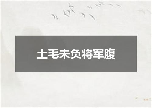 土毛未负将军腹