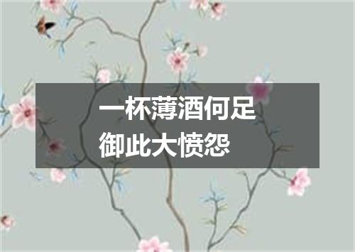 一杯薄酒何足御此大愤怨