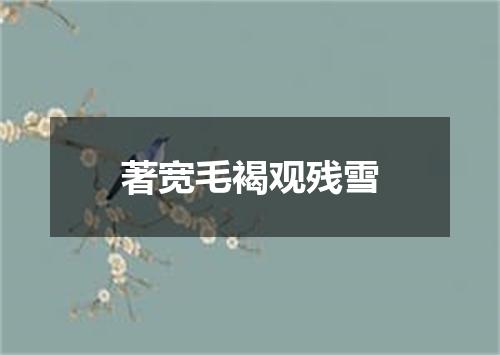著宽毛褐观残雪