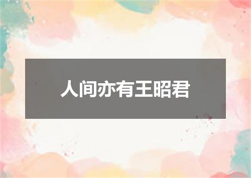 人间亦有王昭君