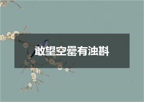 敢望空罍有浊斟