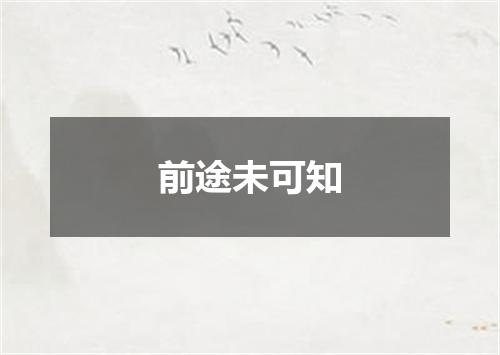 前途未可知