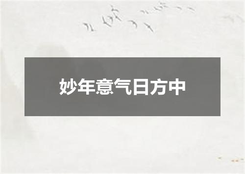 妙年意气日方中