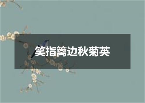 笑指篱边秋菊英