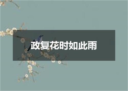 政复花时如此雨