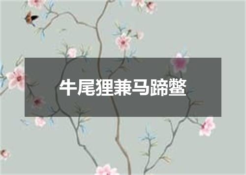 牛尾狸兼马蹄鳖