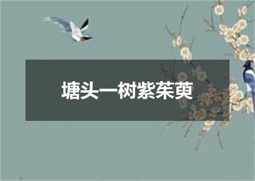 塘头一树紫茱萸