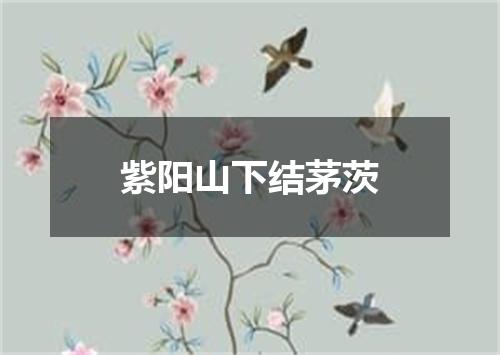 紫阳山下结茅茨