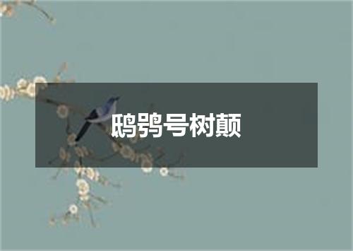 鸱鸮号树颠