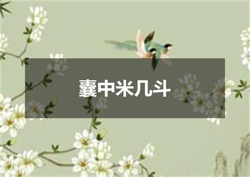 囊中米几斗