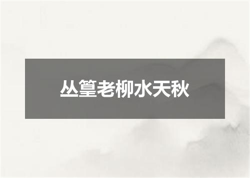 丛篁老柳水天秋