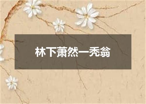 林下萧然一秃翁