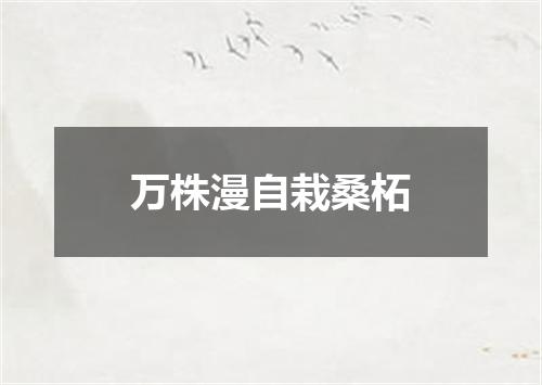 万株漫自栽桑柘