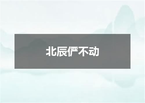 北辰俨不动