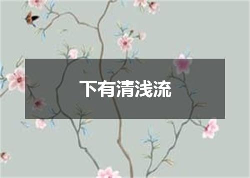 下有清浅流