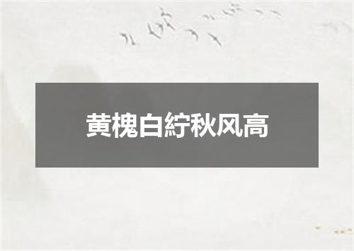 黄槐白紵秋风高