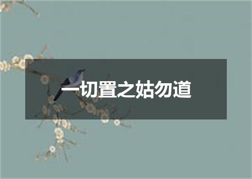 一切置之姑勿道