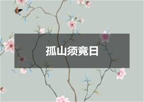 孤山须竟日