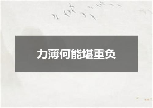 力薄何能堪重负