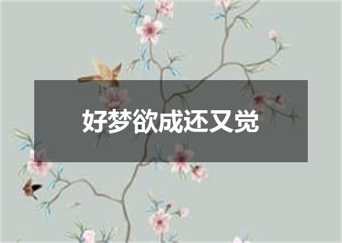 好梦欲成还又觉