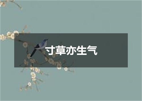 寸草亦生气