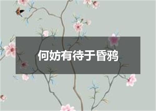 何妨有待于昏鸦