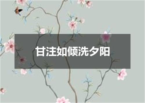 甘注如倾洗夕阳
