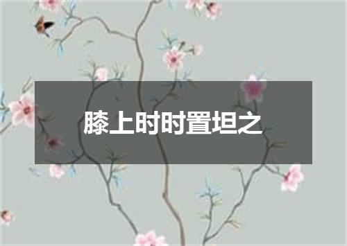 膝上时时置坦之