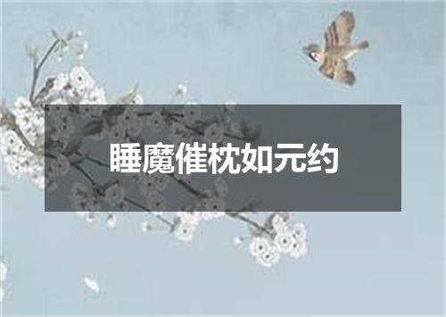 睡魔催枕如元约