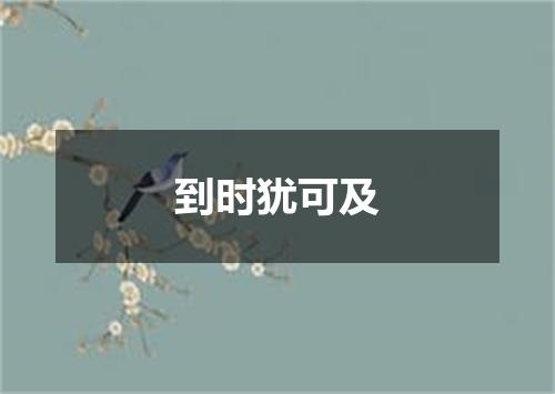 到时犹可及