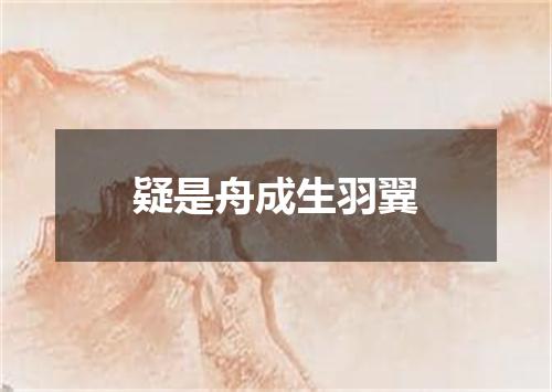 疑是舟成生羽翼