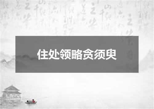 住处领略贪须臾