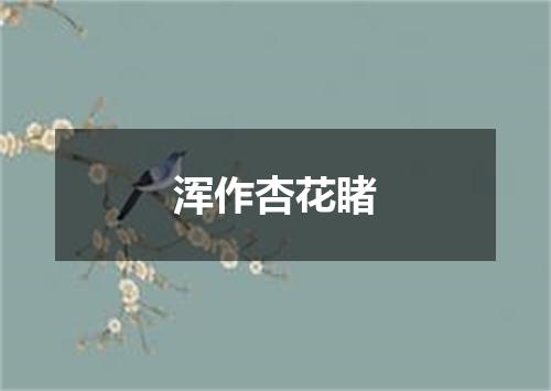 浑作杏花睹