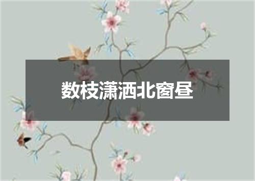数枝潇洒北窗昼