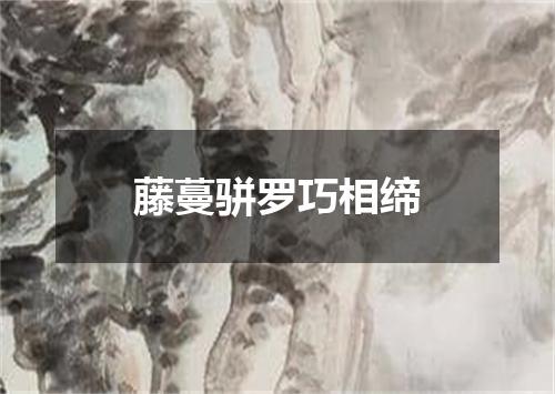 藤蔓骈罗巧相缔