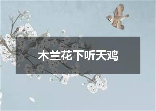 木兰花下听天鸡