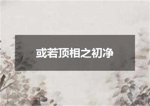 或若顶相之初净