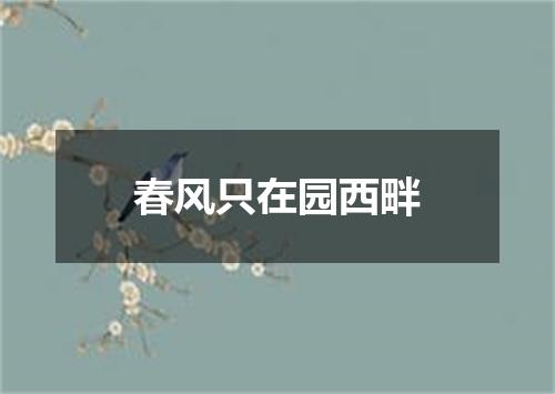 春风只在园西畔
