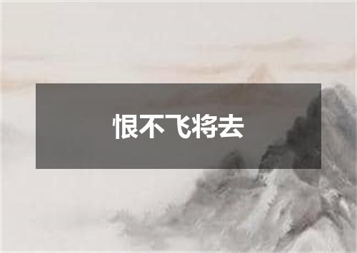 恨不飞将去