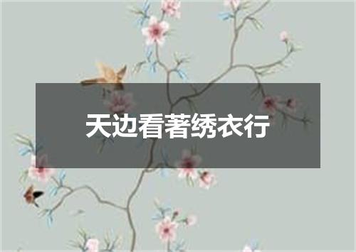 天边看著绣衣行