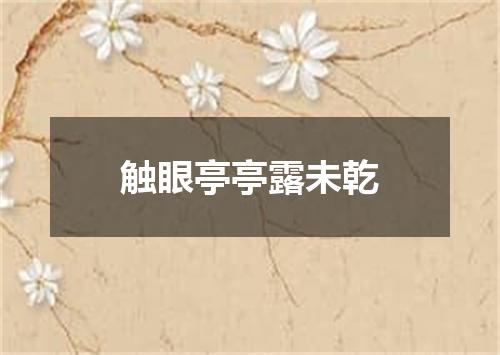 触眼亭亭露未乾