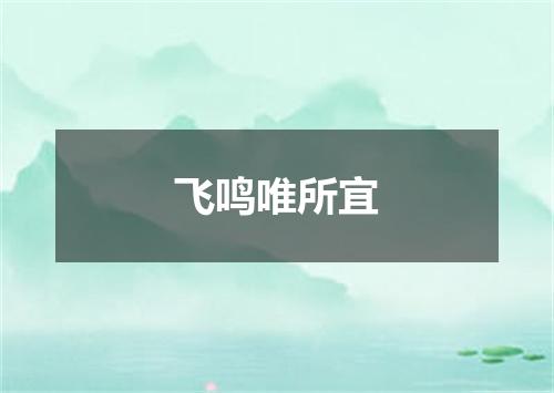 飞鸣唯所宜