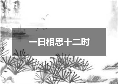 一日相思十二时